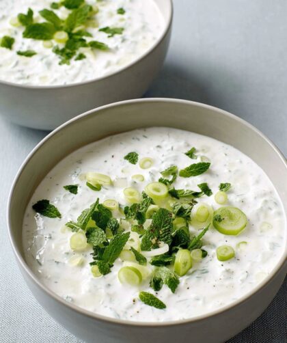 Mary Berry Tzatziki Soup Recipe